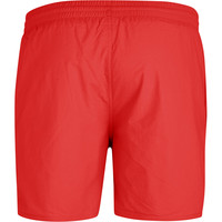 Speedo bañador playa hombre ESSENTIALS 16 WS AM RO vista trasera