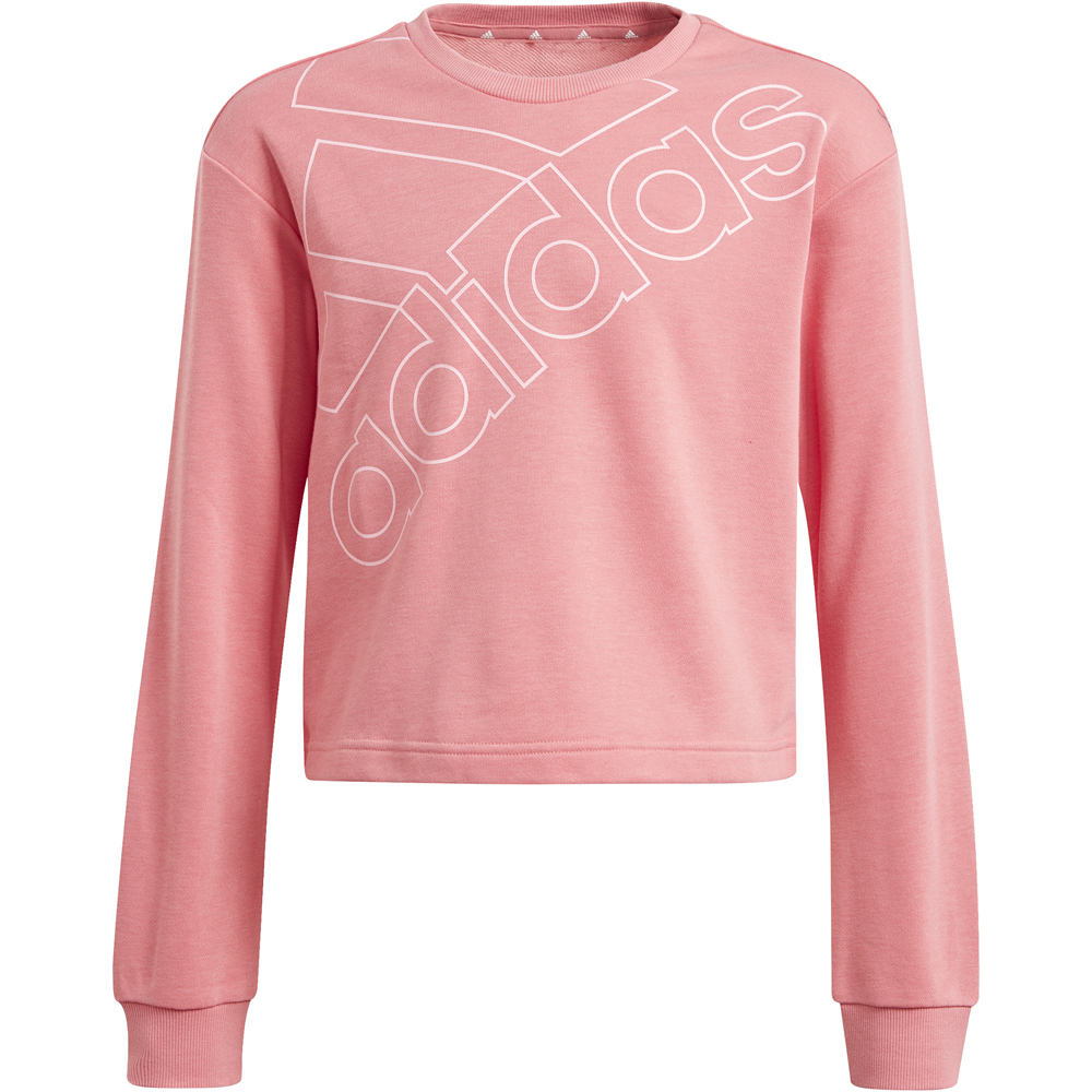 adidas sudadera niña G LOGO SWT vista frontal