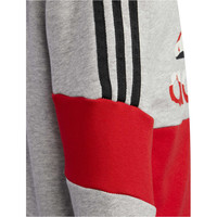 adidas sudadera niño LB ST FT HDY 03