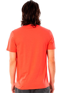 Rip Curl camiseta manga corta hombre ENDLESS SEARCH TEE vista trasera