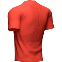 Compressport camisetas trail running manga corta hombre Trail Half-Zip Fitted SS Top vista trasera