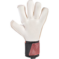 Ho Soccer guantes portero PHENOMEN PRO ROLL/NEGAT 01