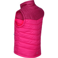 Regatta chaleco outdoor niño Jnr Freezwy II BW RS vista trasera