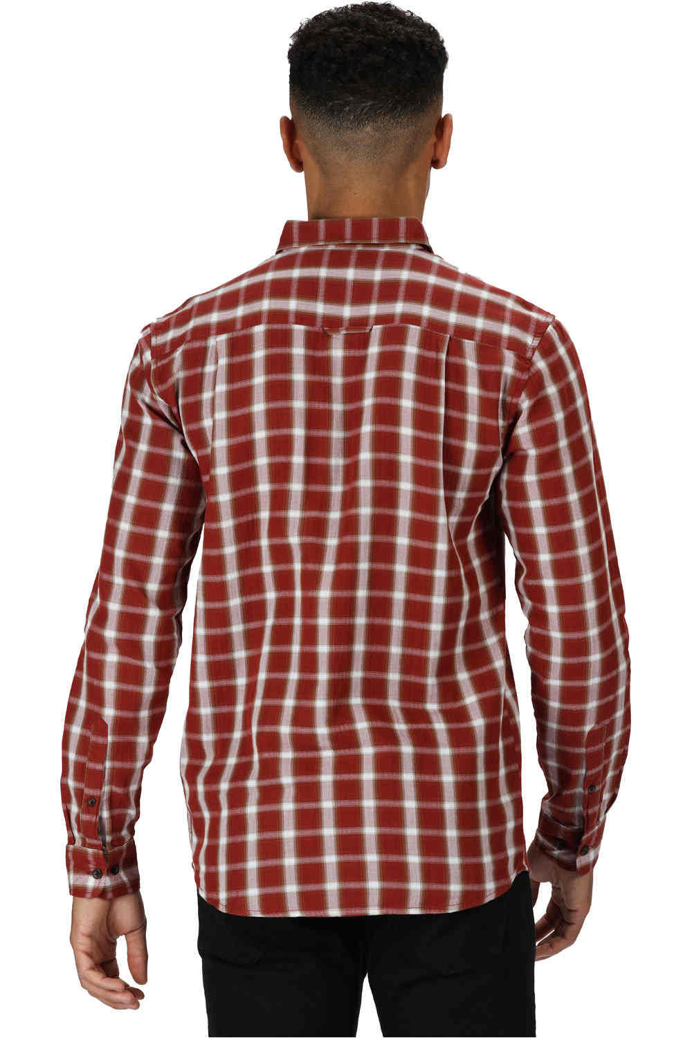 Regatta camisa montaña manga larga hombre Lonan GN vista trasera