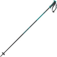 Salomon bastones esquí POLES ARCTIC LADY vista frontal