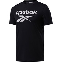 Reebok camiseta manga corta hombre RI Big Logo Tee 04