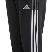 adidas pantalón niño Tiro 21 03