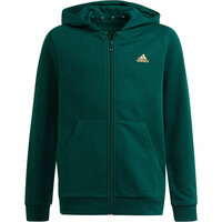 adidas sudadera niño B BL FZ HD vista frontal