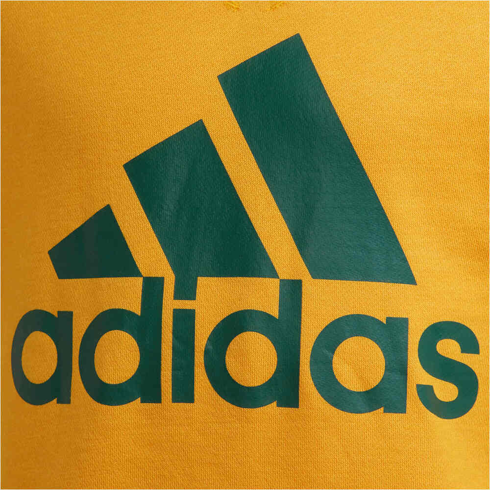 adidas sudadera niño B BL SWT 03