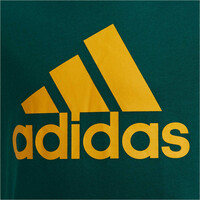 adidas camiseta manga corta niño B BL T 04