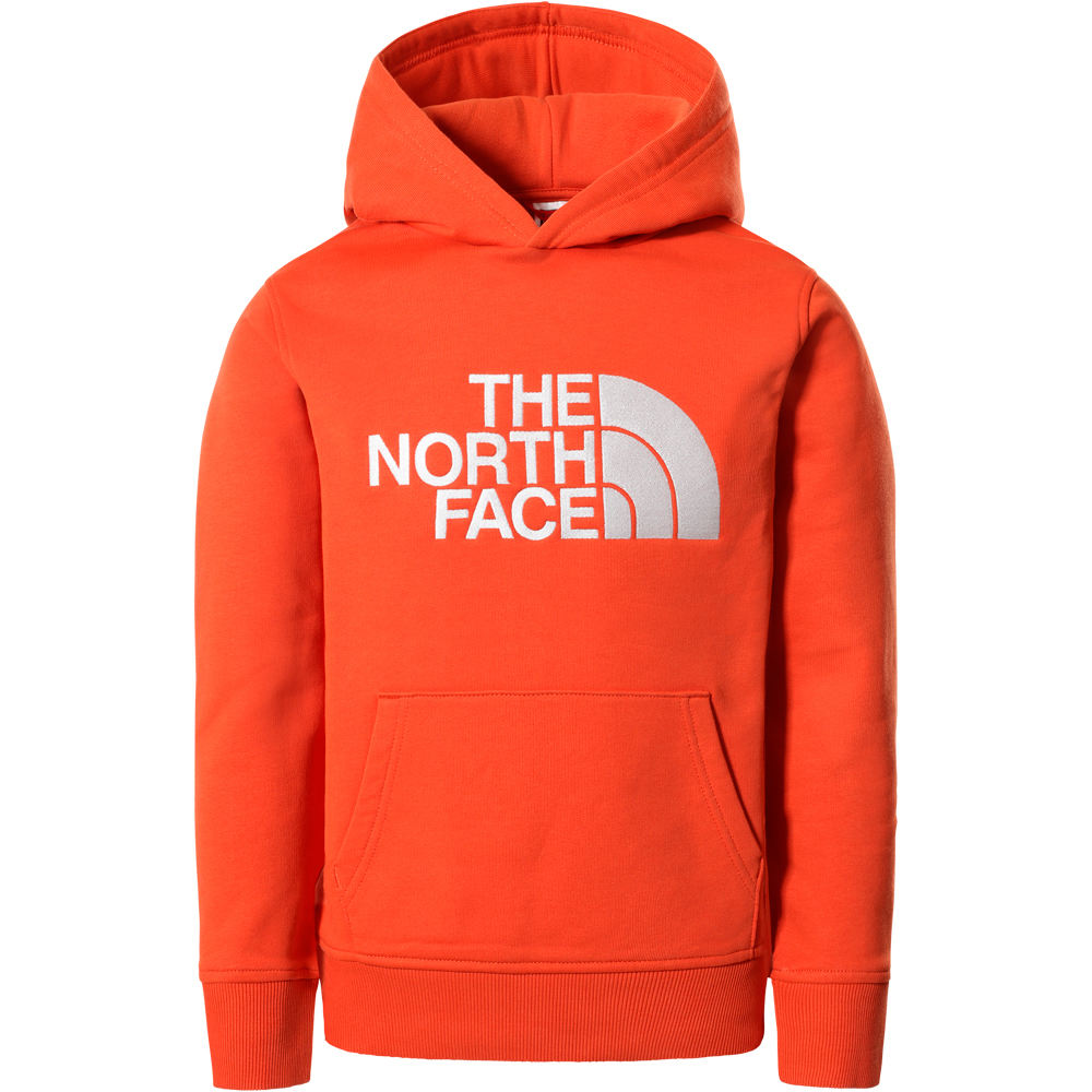 The North Face camiseta montaña manga larga niño Y DREW PEAK P/O HOODIE vista frontal
