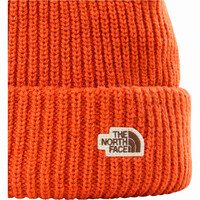 The North Face gorros montaña SALTY DOG BEANIE 01