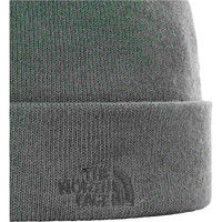 The North Face gorros montaña NORM SHALLOW BEANIE 01