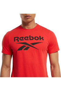 Reebok camiseta fitness hombre RI Big Logo Tee vista detalle