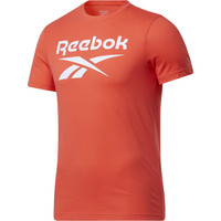 Reebok camiseta fitness hombre RI Big Logo Tee vista frontal