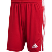 adidas pantalones cortos futbol Squadra 21 04