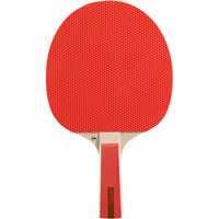 Dunlop palas ping-pong NITRO 01