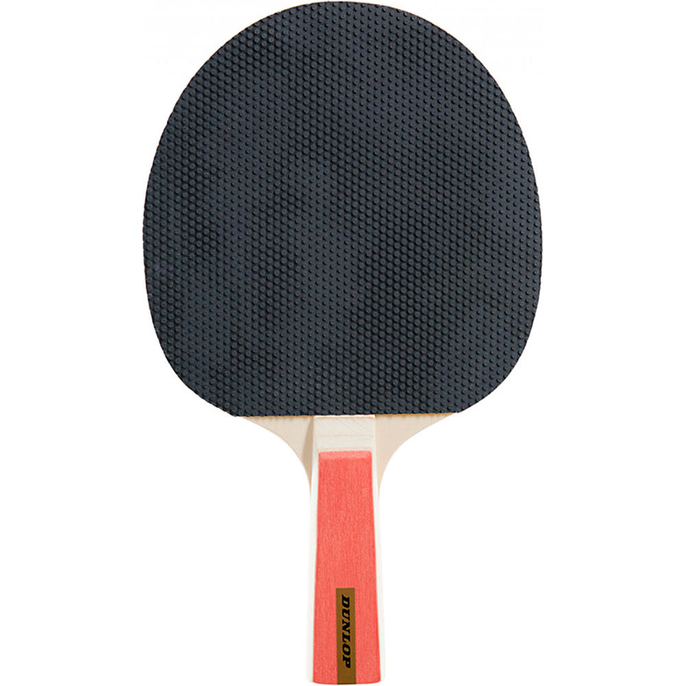 Dunlop palas ping-pong NITRO 02