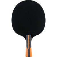 Dunlop palas ping-pong EVOLUTION 1000 01