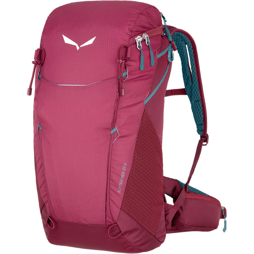 Salewa mochila montaña ALP TRAINER 20 WS vista frontal