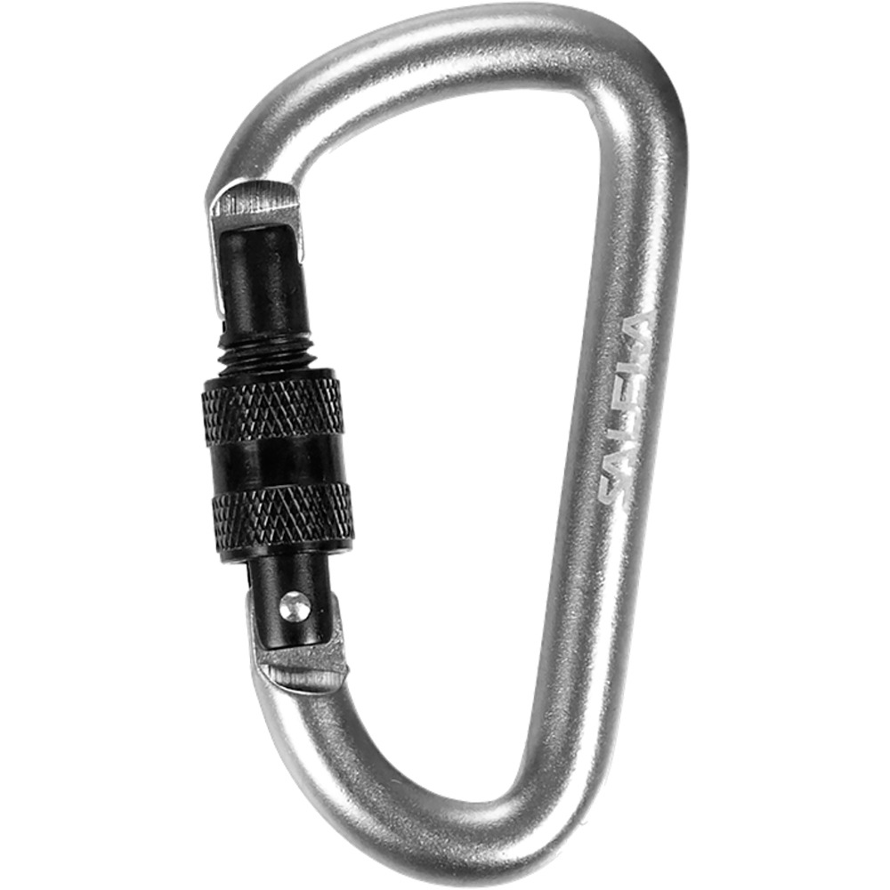 Salewa d-shape carbiner with screw mosquetón auxiliar