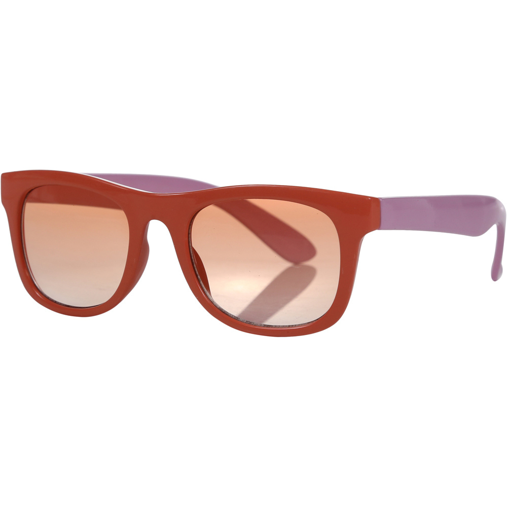 Regatta gafas montaña Amari Sunglasses vista frontal