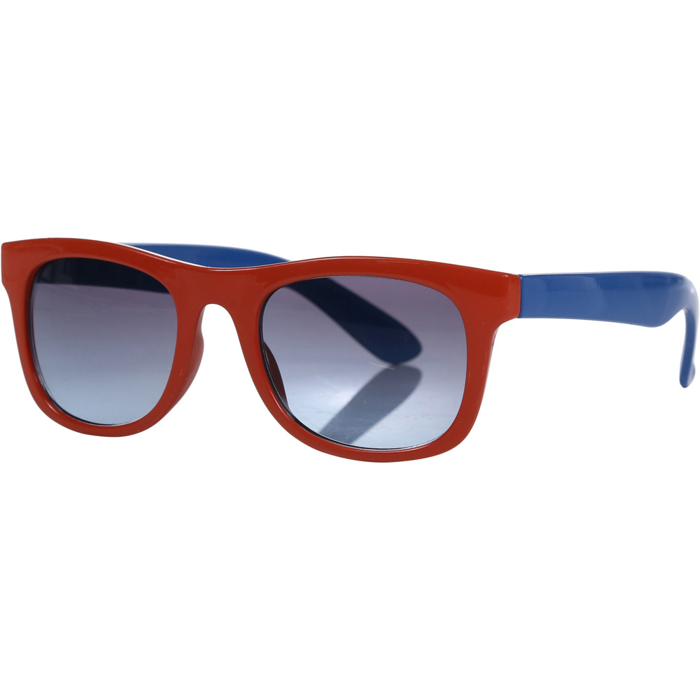 Regatta gafas montaña Amari Sunglasses vista frontal