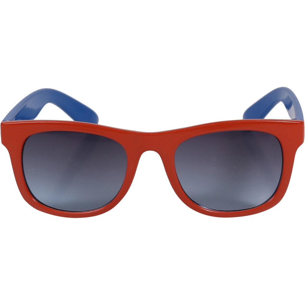 Regatta gafas montaña Amari Sunglasses 01