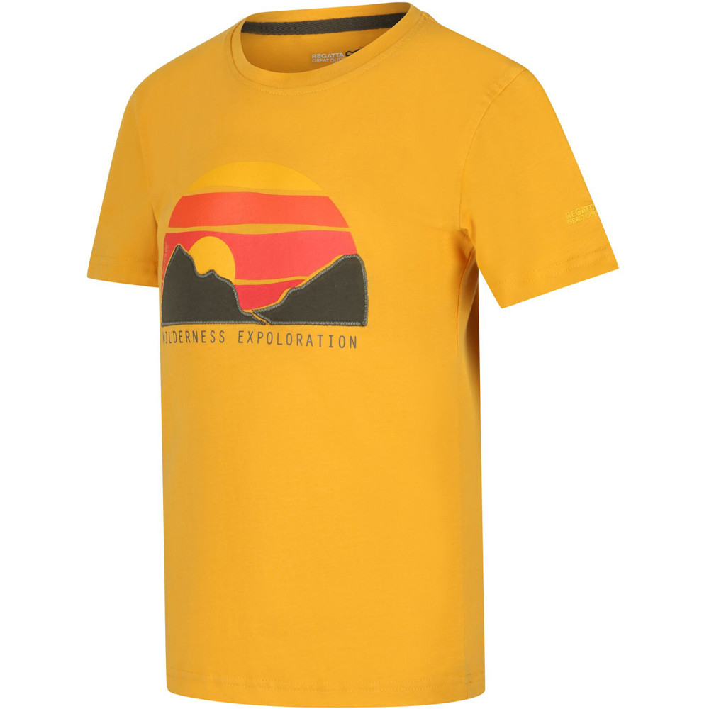 Regatta camiseta montaña manga corta niño Bosley III vista frontal