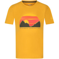 Regatta camiseta montaña manga corta niño Bosley III vista detalle