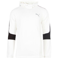 Puma sudadera hombre EVOSTRIPE Hoodie vista frontal