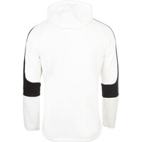 Puma sudadera hombre EVOSTRIPE Hoodie vista trasera