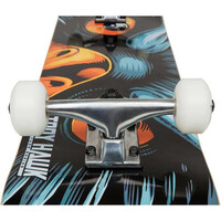 Tony Hawk skate SS180 EYE OF THE HAWK 01