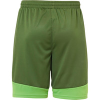 Kempa pantalones cortos futbol niño EMOTION 2.0 SHORTS vista trasera