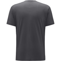 Haglofs camiseta montaña manga corta hombre Glee Tee Men vista trasera