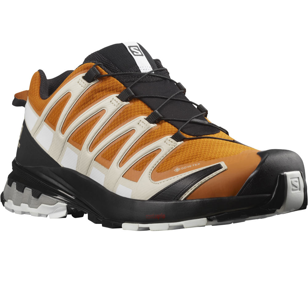 Salomon zapatillas trail hombre XA PRO 3D v8 GTX lateral interior