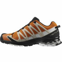 Salomon zapatillas trail hombre XA PRO 3D v8 GTX vista trasera