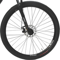 Dtb bicicletas de montaña TRACKER DISC 29 03