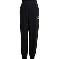 adidas pantalón mujer W BLUV Q1 PT 04