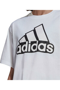 adidas camiseta manga corta mujer W BLUV Q1 CRO T vista detalle