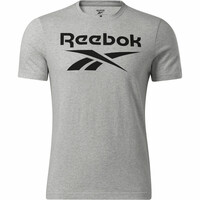 Reebok camiseta manga corta hombre RI BIG LOGO TEE vista frontal