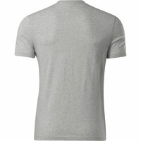 Reebok camiseta manga corta hombre RI BIG LOGO TEE vista trasera