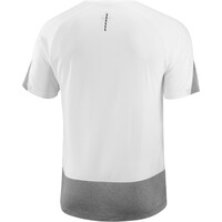 Salomon camisetas trail running manga corta hombre CROSS RUN SS TEE M vista trasera