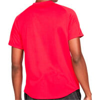 Nike camiseta tenis manga corta hombre NKCT DF VCTRY TOP vista trasera