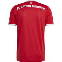 adidas camiseta de fútbol oficiales FC Bayern 06