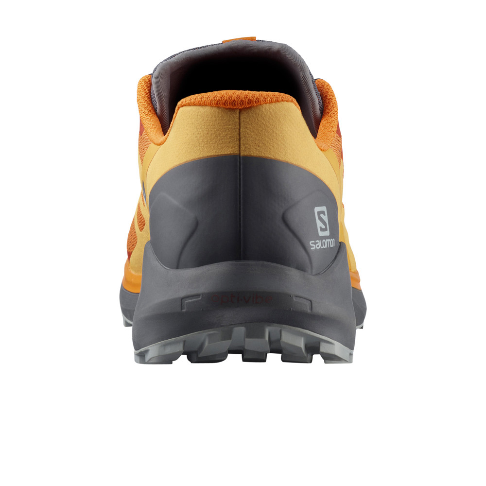 Salomon zapatillas trail hombre SENSE RIDE 4 puntera