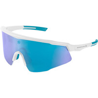 Endura gafas ciclismo Gafas Shumba II vista frontal