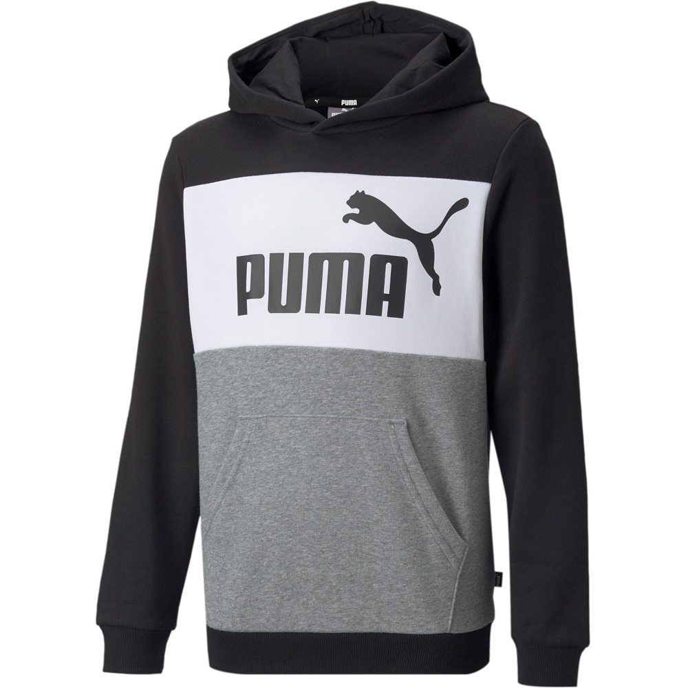 Puma sudadera niño ESS+ COLORBLOCK HOOD vista frontal