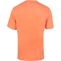 Champion camiseta manga corta hombre fluo Crewneck T-Shirt vista trasera