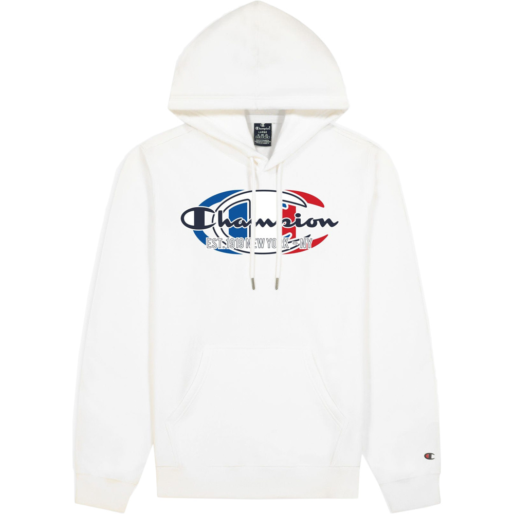 Champion sudadera hombre graphic Hooded Sweatshirt vista frontal